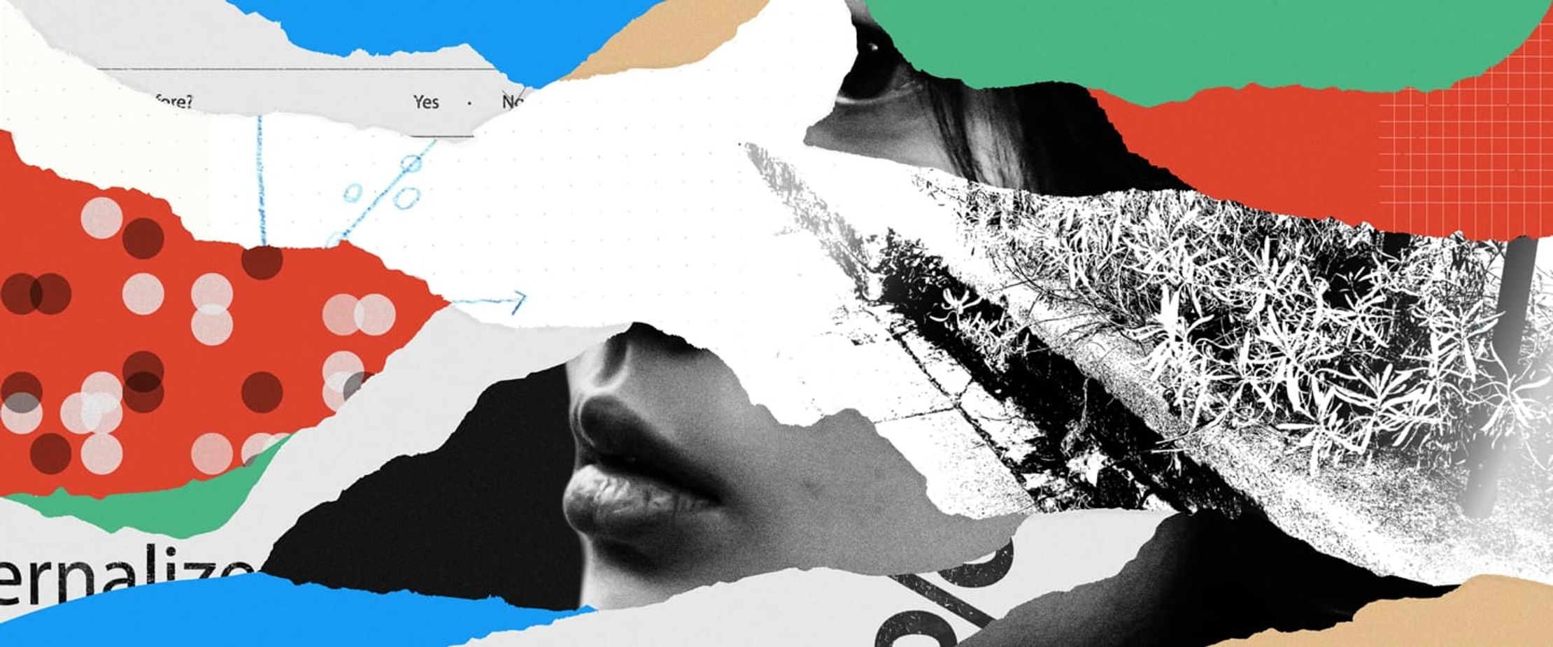 A collage of images designed to look like torn scraps of paper. A woman's mouth and hair is visible in two scraps while the rest are a mix of text, colours, data visualization and photography.
