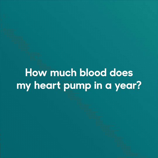 An animated GIF that begins with the question 'How much blood does my heart pump in the year?'. An animated heart and text reveals we pump 70 milliletres per beat, about 5 litres per minute or 300 litres for hour. Finally a swimming pool turns red as the text reveals that in a year it's enough to more than fill an olympic swimming pool. 