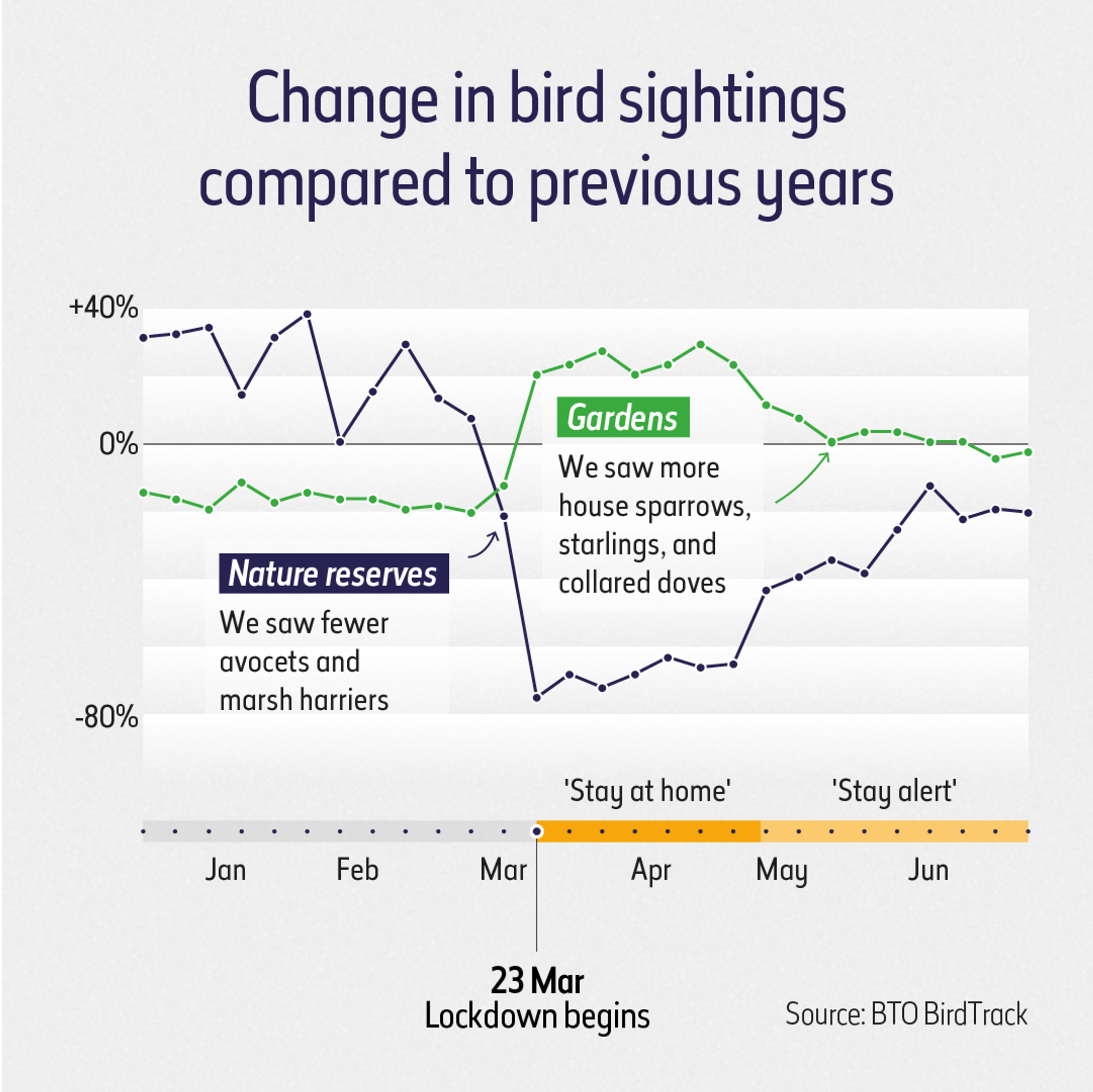 A line chart showing how bird sightings changed in 2020. It shows sightings on nature reserves fell as lockdown began and garden recordings for birds like sparrows and starlings increased.