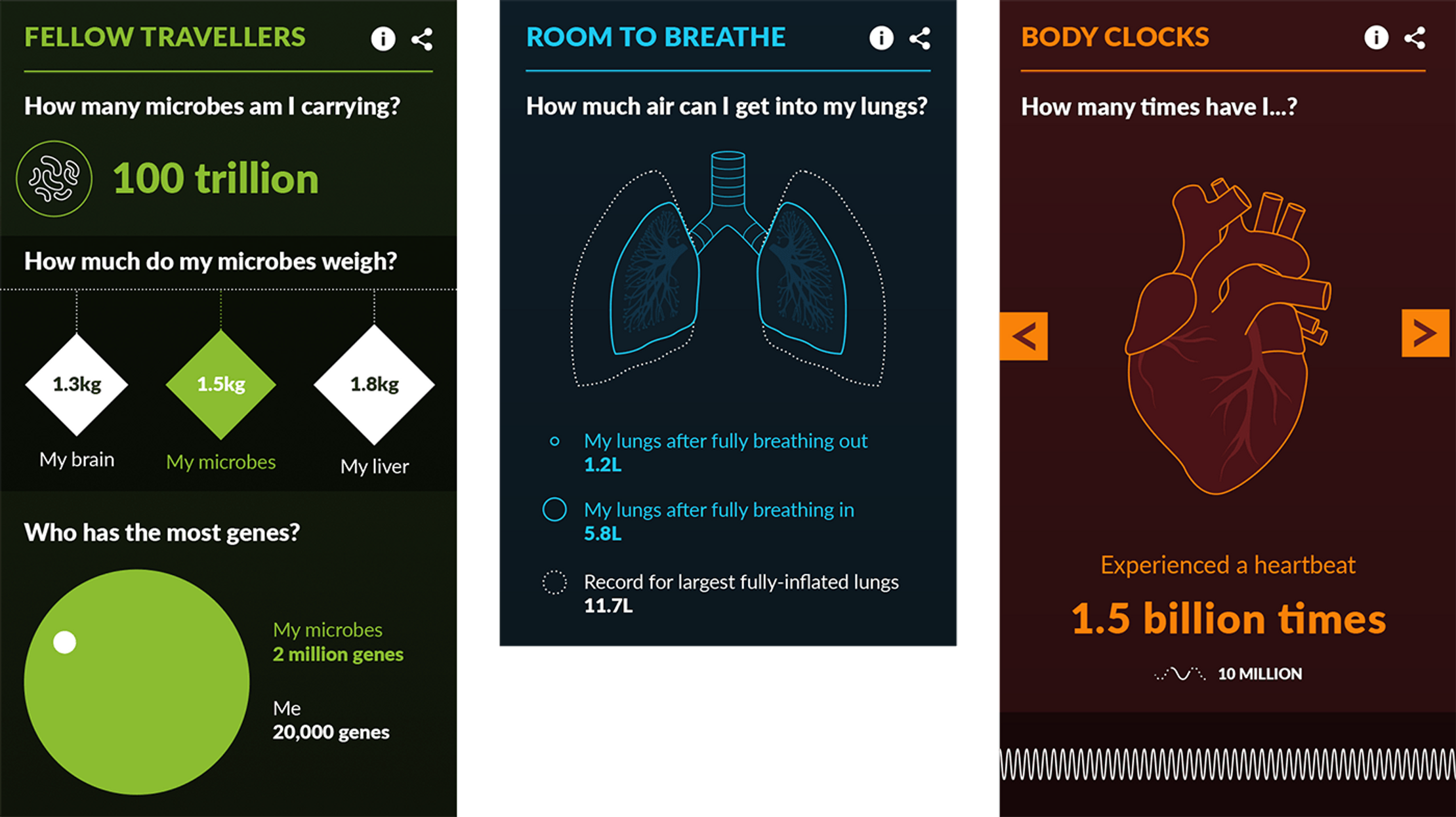 Three screenshots of visualizations from the Making of Me and You page. The first shows the average person carries 100 trillion microbes. The second shows the record for the largest inflated lungs are 5.8 litres. And the final visualization shows how many times the reader's heart has beat in their lifetimes, in this case 1.5 billion.