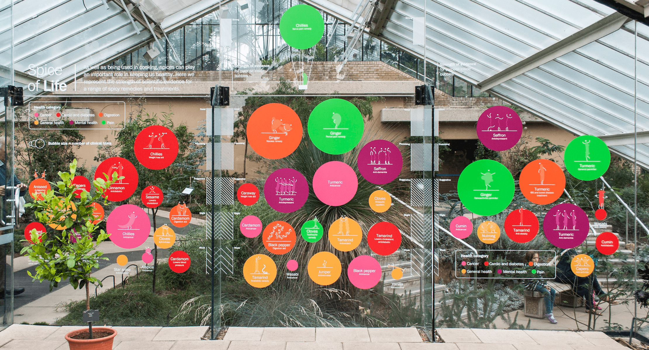 A wide shot showing colourful illustrations and facts about different spices, stuck onto glass panes in the Princess of Wales Conservatory at Kew Gardens.