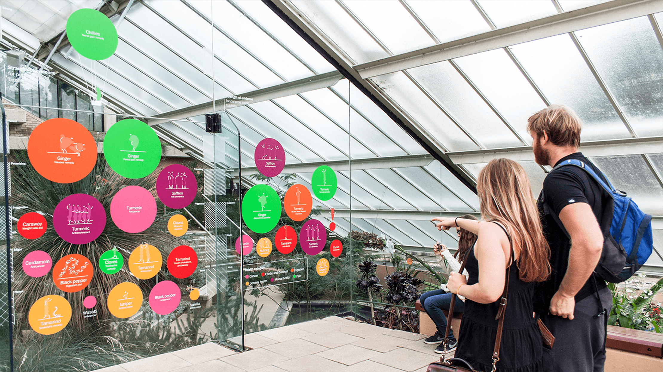 A photo of two people looking at colourful spice of life bubbles placed on glass panes inside the Princess of Wales Conservatory. 