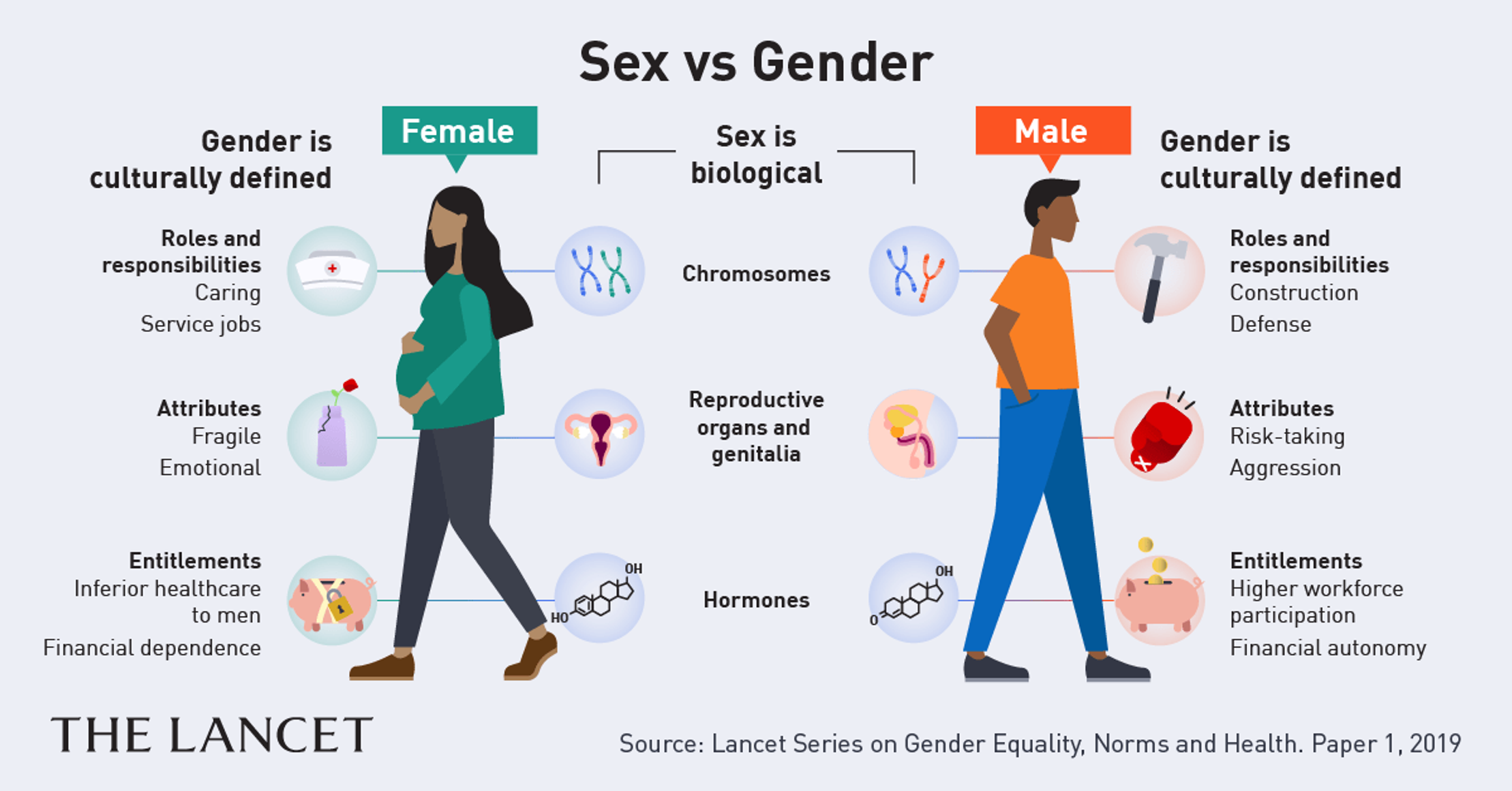 A graphic in a simple 2D style titled 'Sex vs Gender' that shows insights from the Lancet. It explains that sex is biological while gender is culturally defined. 