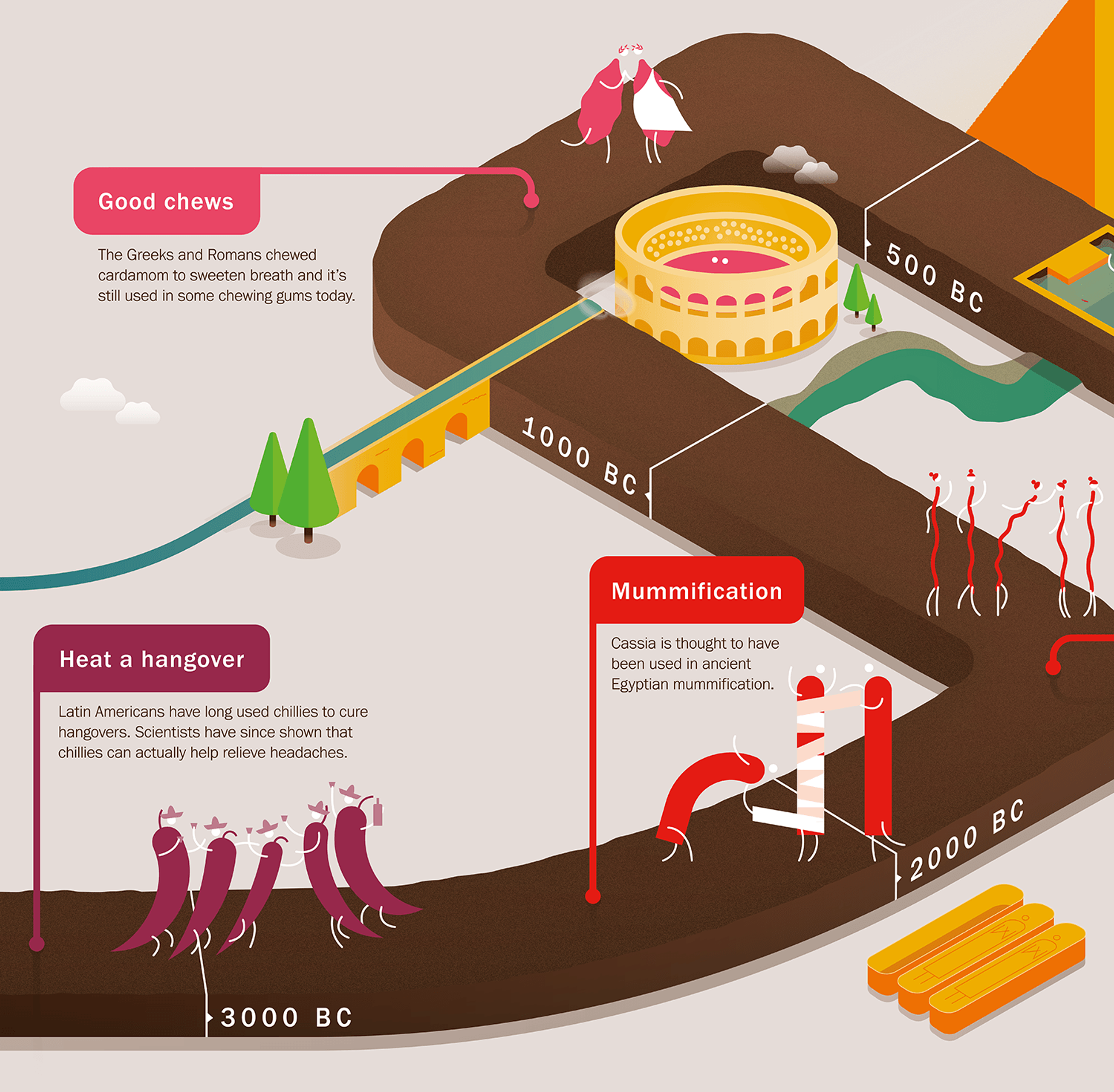 A close up of an illustrated timeline of the history of spices. It shows two pieces of cardamon along with text that reads: 'The Greeks and Romans chewed cardamon to sweeten breath and it's still used in some chewing gums today.''